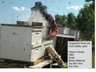 Langstroth hives are
most widely used.
Others include:
WBC
Smith
British National
Top Bar Hive
Sun Hive
48
 