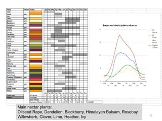 Main nectar plants:
Oilseed Rape, Dandelion, Blackberry, Himalayan Balsam, Rosebay
Willowherb, Clover, Lime, Heather, Ivy 53
 