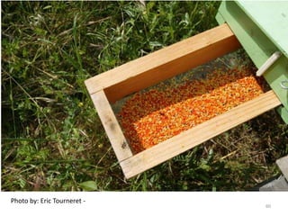 Photo by: Eric Tourneret -
60
 