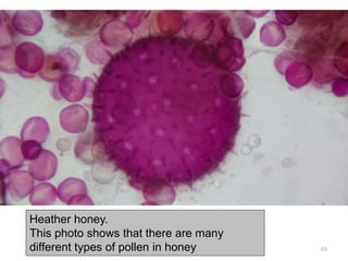 Heather honey.
This photo shows that there are many
different types of pollen in honey 63
 