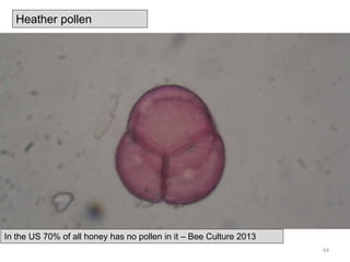 Heather pollen
In the US 70% of all honey has no pollen in it – Bee Culture 2013
64
 