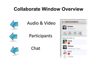 Collaborate Window Overview
Audio & Video
Participants
Chat
 