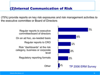 Role of a Chief Risk Officer | PDF