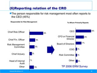Role of a Chief Risk Officer | PDF