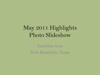May 2011 Highlights
Photo Slideshow
Sunshine Acre
New Braunfels, Texas
 