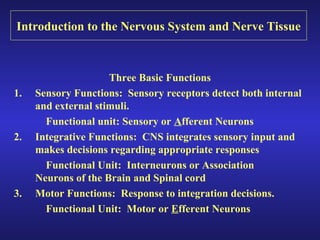Introduction to the Nervous System and Nerve Tissue
Three Basic Functions
1. Sensory Functions: Sensory receptors detect both internal
and external stimuli.
Functional unit: Sensory or Afferent Neurons
2. Integrative Functions: CNS integrates sensory input and
makes decisions regarding appropriate responses
Functional Unit: Interneurons or Association
Neurons of the Brain and Spinal cord
3. Motor Functions: Response to integration decisions.
Functional Unit: Motor or Efferent Neurons
 