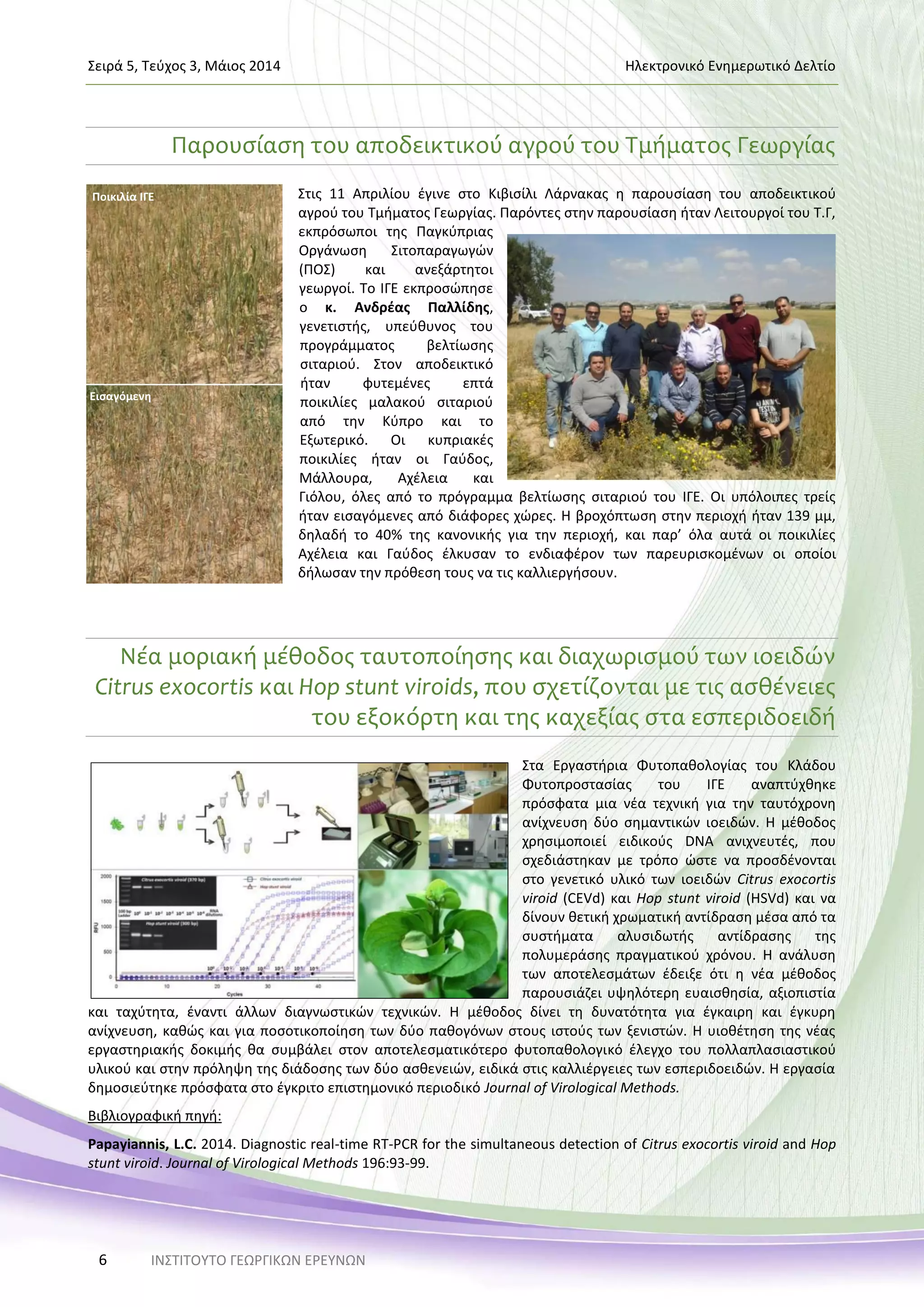 Σειρά 5, Τεύχος 3, Μάιος 2014 Ηλεκτρονικό Ενημερωτικό Δελτίο
ΙΝΣΤΙΤΟΥΤΟ ΓΕΩΡΓΙΚΩΝ ΕΡΕΥΝΩΝ6
Ποικιλία ΙΓΕ
Εισαγόμενη
Παρουσίαση του αποδεικτικού αγρού του Τμήματος Γεωργίας
Στις 11 Απριλίου έγινε στο Κιβισίλι Λάρνακας η παρουσίαση του αποδεικτικού
αγρού του Τμήματος Γεωργίας. Παρόντες στην παρουσίαση ήταν Λειτουργοί του Τ.Γ,
εκπρόσωποι της Παγκύπριας
Οργάνωση Σιτοπαραγωγών
(ΠΟΣ) και ανεξάρτητοι
γεωργοί. Το ΙΓΕ εκπροσώπησε
ο κ. Ανδρέας Παλλίδης,
γενετιστής, υπεύθυνος του
προγράμματος βελτίωσης
σιταριού. Στον αποδεικτικό
ήταν φυτεμένες επτά
ποικιλίες μαλακού σιταριού
από την Κύπρο και το
Εξωτερικό. Οι κυπριακές
ποικιλίες ήταν οι Γαύδος,
Μάλλουρα, Αχέλεια και
Γιόλου, όλες από το πρόγραμμα βελτίωσης σιταριού του ΙΓΕ. Οι υπόλοιπες τρείς
ήταν εισαγόμενες από διάφορες χώρες. Η βροχόπτωση στην περιοχή ήταν 139 μμ,
δηλαδή το 40% της κανονικής για την περιοχή, και παρ’ όλα αυτά οι ποικιλίες
Αχέλεια και Γαύδος έλκυσαν το ενδιαφέρον των παρευρισκομένων οι οποίοι
δήλωσαν την πρόθεση τους να τις καλλιεργήσουν.
Νέα μοριακή μέθοδος ταυτοποίησης και διαχωρισμού των ιοειδών
Citrus exocortis και Ηοp stunt viroids, που σχετίζονται με τις ασθένειες
του εξοκόρτη και της καχεξίας στα εσπεριδοειδή
Στα Eργαστήρια Φυτοπαθολογίας του Kλάδου
Φυτοπροστασίας του ΙΓΕ αναπτύχθηκε
πρόσφατα μια νέα τεχνική για την ταυτόχρονη
ανίχνευση δύο σημαντικών ιοειδών. Η μέθοδος
χρησιμοποιεί ειδικούς DNA ανιχνευτές, που
σχεδιάστηκαν με τρόπο ώστε να προσδένονται
στο γενετικό υλικό των ιοειδών Citrus exocortis
viroid (CEVd) και Hop stunt viroid (HSVd) και να
δίνουν θετική χρωματική αντίδραση μέσα από τα
συστήματα αλυσιδωτής αντίδρασης της
πολυμεράσης πραγματικού χρόνου. Η ανάλυση
των αποτελεσμάτων έδειξε ότι η νέα μέθοδος
παρουσιάζει υψηλότερη ευαισθησία, αξιοπιστία
και ταχύτητα, έναντι άλλων διαγνωστικών τεχνικών. Η μέθοδος δίνει τη δυνατότητα για έγκαιρη και έγκυρη
ανίχνευση, καθώς και για ποσοτικοποίηση των δύο παθογόνων στους ιστούς των ξενιστών. Η υιοθέτηση της νέας
εργαστηριακής δοκιμής θα συμβάλει στον αποτελεσματικότερο φυτοπαθολογικό έλεγχο του πολλαπλασιαστικού
υλικού και στην πρόληψη της διάδοσης των δύο ασθενειών, ειδικά στις καλλιέργειες των εσπεριδοειδών. Η εργασία
δημοσιεύτηκε πρόσφατα στο έγκριτο επιστημονικό περιοδικό Journal of Virological Methods.
Βιβλιογραφική πηγή:
Papayiannis, L.C. 2014. Diagnostic real-time RT-PCR for the simultaneous detection of Citrus exocortis viroid and Hop
stunt viroid. Journal of Virological Methods 196:93-99.
 