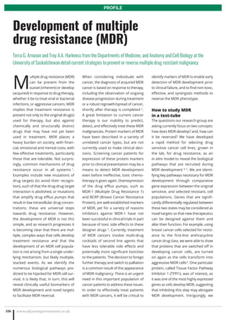 M
ultiple drug resistance (MDR)
can be present from the
outset (inherent) or develop
(acquired) in response to drug therapy,
whether it be to treat viral or bacterial
infections, or aggressive cancers. MDR
implies that treatment resistance is
present not only to the original drug(s)
used for therapy, but also against
chemically and structurally distinct
drugs that may have not yet been
used in treatment. MDR places a
heavy burden on society, with finan-
cial, emotional and mental costs, with
few effective treatments, particularly
those that are tolerable. Not surpris-
ingly, common mechanisms of drug
resistance occur in all systems 1
.
Examples include new mutations of
drug targets (to avoid their recogni-
tion), such of that the drug-drug target
interaction is abolished, or mutations
that amplify drug efflux pumps that
result in low intracellular drug concen-
trations; these are universal steps
towards drug resistance. However,
the development of MDR is not this
simple, and as research progresses it
is becoming clear that there are mul-
tiple, complex ways that cells develop
treatment resistance and that the
development of an MDR cell popula-
tion is not arising from a single under-
lying mechanism, but likely multiple,
stacked events. As we identify the
numerous biological pathways pre-
dicted to be hijacked for MDR cell sur-
vival, it is likely that, in turn, this will
reveal clinically useful biomarkers of
MDR development and novel targets
to facilitate MDR reversal.
When considering individuals with
cancer, the diagnosis of acquired MDR
cancer is based on response to therapy,
including the observation of ongoing
disease progression during treatment
or a robust regrowth/spread of cancer,
shortly after therapy is completed 2
.
A great limitation to current cancer
therapy is our inability to predict,
detect, and effectively treat these MDR
malignancies. Protein markers of MDR
have been described in a variety of
unrelated cancer types, but are not
currently used to make clinical deci-
sions. Screening cancer patients for
expression of these protein markers
prior to clinical presentation may be a
means to detect MDR development
even before ineffective, toxic chemo-
therapy is given again. Overexpression
of the drug efflux pumps, such as
MDR-1 (Multiple Drug Resistance 1)
and BCRP (Breast Cancer Resistance
Protein), are well-established markers
of MDR, yet for a variety of reasons
inhibitors against MDR-1 have not
been successful in clinical trials in part
because of toxic side effects to these
designer drugs 3
. Currently, treatment
of MDR cancers involve multi-drug
cocktails of second line agents that
have less tolerable side effects and
potentially more significant toxicities
to the patients. The decision to forego
further therapy and switch to palliation
is a common result of the appearance
of MDR malignancy. There is an urgent
need in this important population of
cancer patients to address these issues.
In order to effectively treat patients
with MDR cancers, it will be critical to
identify markers of MDR to enable early
detection of MDR development prior
to clinical failure, and to find non-toxic,
effective, and synergistic methods to
reverse the MDR phenotype.
How to study MDR
in a test-tube
The questions our research group are
asking currently focus on two concepts:
how does MDR develop? and, how can
it be reversed? We have developed
a rapid method for selecting drug
sensitive cancer cell lines, grown in
the lab, for drug resistance, as an
in vitro model to reveal the biological
pathways that are recruited during
MDR development 4, 5
. We are identi-
fying key pathways necessary for MDR
development through comparative
gene expression between the original
sensitive, and selected resistant, cell
populations. Genes that are signifi-
cantly differentially regulated between
these two states may be considered as
novel targets so that new therapeutics
can be designed against them and
alter their function. For example, using
breast cancer cells selected for resist-
ance to the first-line anthracycline
cancer drug class, we were able to show
that proteins that are switched off in
developing cancer cells, are turned
on again as the cells transform into
aggressive MDR cells4
. One particular
protein, called Tissue Factor Pathway
Inhibitor 1 (TFPI1), was of interest, as
it was one of the most highly expressed
genes as cells develop MDR, suggesting
that inhibiting this step may abrogate
MDR development. Intriguingly, we
www.adjacentgovernment.co.uk106
Development of multiple
drug resistance (MDR)
Terra G. Arnason and Troy A.A. Harkness from the Departments of Medicine, and Anatomy and Cell Biology at the
University of Saskatchewan detail current strategies to prevent or reverse multiple drug resistant malignancy
PROFILE
 