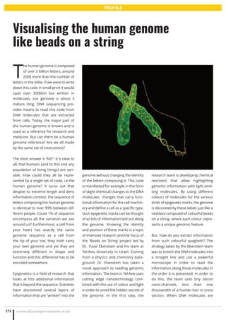 T
he human genome is composed
of over 3 billion letters, around
2500 more than the number of
letters in the bible. If we were to write
down this code in small print it would
span over 3000km but written in
molecules, our genome is about 3
meters long. DNA sequencing pro-
vides means to read this code from
DNA molecules that are extracted
from cells. Today, the major part of
the human genome is known and is
used as a reference for research and
medicine. But can there be a human
genome reference? Are we all made
by the same set of instructions?
The short answer is “NO”. It is clear to
all, that humans (and to this end any
population of living things) are vari-
able. How could they all be repre-
sented by a single set of code, i.e the
human genome? It turns out that
despite its extreme length and dens
information content, the sequence of
letters composing the human genome
is identical to over 99% between dif-
ferent people. Could 1% of sequence
encompass all the variation we see
around us? Furthermore, a cell from
your heart has exactly the same
genome sequence as a cell from
the tip of your toe; they both carry
your own genome and yet they are
extremely different in shape and
function and this difference has to be
encoded somewhere.
Epigenetics is a field of research that
looks at this additional information
that is beyond the sequence. Scientists
have discovered several layers of
information that are “written” into the
genome without changing the identity
of the letters composing it. This code
is manifested for example in the form
of slight chemical changes to the DNA
molecules, changes that carry func-
tional information for the cell machin-
ery and define a cell as a specific type.
Such epigenetic marks can be thought
of as bits of information laid out along
the genome. Knowing the identity
and position of these marks is a topic
of intensive research and the focus of
the ‘Beads on String’ project led by
Dr. Yuval Ebenstein and his team at
Tel-Aviv University in Israel. Coming
from a physics and chemistry back-
ground, Dr. Ebenstein has taken a
novel approach to reading genomic
information. The team in Tel-Aviv uses
cutting edge nanotechnology com-
bined with the use of colour and light
in order to unveil the hidden secrets of
the genome. In the first step, the
research team is developing chemical
reactions that allow highlighting
genomic information with light emit-
ting molecules. By using different
colours of molecules for the various
kinds of epigenetic marks, the genome
is decorated by these labels just like a
necklace composed of colourful beads
on a string, where each colour repre-
sents a unique genomic feature.
But, how do you extract information
from such colourful spaghetti? The
strategy taken by the Ebenstein team
was to stretch the DNA molecules into
a straight line and use a powerful
microscope in order to read the
information along those molecules in
the order it is presented. In order to
do this, the team uses tiny silicon
nano-channels, less than one
thousandth of a human hair in cross
section. When DNA molecules are
www.adjacentgovernment.co.uk174
Visualising the human genome
like beads on a string
PROFILE
 