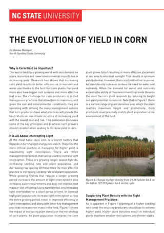 Why is Corn Yield so Important?
The key to feeding a growing world with less demand on
scare resources and lower environmental impacts lies in
increasing yield. Research has shown that increasing
corn yield results in better efficiencies in nutrient and
water use thanks to the fact that corn plants that yield
more also have bigger root systems and more effective
leaf area. The challenge for corn producers is to find
management practices that allow them to maximize yield
given the soil and environmental constraints they are
operating with. Among the many management options
that corn producers have what practices will provide the
best return on investment in terms of increasing yield
with the lowest cost and risk. This publication discusses
some of the key principles and practices corn growers
should consider when seeking to increase yield in corn.
It is All About Intercepting Light
At the most basic level corn is a starch factory that
depends in turning light energy into starch. Therefore the
most critical practice in managing for higher yield is
maximizing light interception. There are three
management practices that can be used to increase light
interception. These are growing longer season hybrids,
increasing seeding rate and plant population, and
decreasing row spacing. Of these three the most effective
practice is increasing seeding rate and plant population.
While growing hybrids that require a longer growing
period increases the amount of light intercepted it also
increases water requirements and does not improve root
mass or leaf efficiency. Using narrow rows only increases
light interception for a short period of time. In contrast
high plant populations increase light interception across
the entire growing period, result in improved efficiency in
light interception, and along with other key management
practices increase root mass in the field. Figure 1 shows
the impact of increasing plant density on the morphology
of corn plants. As plant population increases the corn
plant grows taller resulting in more effective placement
of leaf area to intercept sunlight. This results in optimum
yield potential. However, there is a limit to this response.
As plant density increases so does the need for water and
nutrients. When the demand for water and nutrients
exceeds the ability of the environment to provide these to
the plant the corn plant responds by reducing its height
and yield potential is reduced. Note that in Figure 1 there
is a narrow range of plant densities over which the plant
reaches maximum height and productivity. Corn
producers must precisely match plant population to the
environment of the field.
Supporting Plant Density with the Right
Management Practices
As is apparent in Figure 1 planting at a higher seeding
rate is not the only step producers should use to achieve
higher yield. Higher plant densities result in individual
plants that have smaller root systems and thinner stalks.
THE EVOLUTION OF YIELD IN CORN
Dr. Ronnie Heiniger
North Carolina State University
Figure 1. Change in plant density from 29,343 plants ha-1 on
the left to 107,593 plants ha-1 on the right.
 