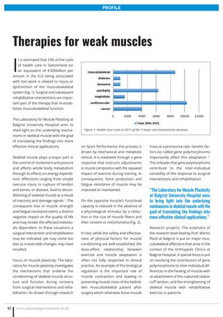 I
t is estimated that 10% of the costs
of health care in Switzerland (or
an equivalent of €500billion per
annum in the EU) being associated
with lost work is related to injury or
dysfunction of the musculoskeletal
system (Fig. 1). Surgical and subsequent
rehabilitative interventions are impor-
tant part of the therapy that re-estab-
lishes musculoskeletal function.
The Laboratory for Muscle Plasticity at
Balgrist University Hospital aims to
shed light on the underlying mecha-
nisms in skeletal muscle with the goal
of translating the findings into more
effective clinical applications.
Skeletal muscle plays a major part in
the control of movement and posture
and affects whole body metabolism
through its effects on energy expendi-
ture. Affections ranging from simple
overuse injury to rupture of tendon
and bones, or disease, lead to decon-
ditioning of skeletal muscle as a result
of inactivity and damage signals 1
. The
consequent loss in muscle strength
and fatigue resistance exerts a distinct
negative impact on the quality of life
and may render the affected individu-
als dependent. In these situations a
surgical intervention and rehabilitation
may be indicated, yet may come too
late as irreversible changes may have
resulted.
Focus on muscle plasticity: The labo-
ratory for muscle plasticity investigates
the mechanisms that underlie the
conditioning of skeletal muscle struc-
ture and function during recovery
from surgical interventions and reha-
bilitation. As shown through research
on Sport Performance this process is
driven by mechanical and metabolic
stimuli. It is mediated through a gene
response that instructs adjustments
in muscle composition with the repeated
impact of exercise during training. In
consequence, force production and
fatigue resistance of muscle may be
improved or maintained.
On the opposite muscle’s functional
capacity is reduced in the absence of
a physiological stimulus by a reduc-
tion in the size of muscle fibers and
their content in mitochondria (Fig. 2).
In fact, while the safety and effective-
ness of physical factors for muscle
conditioning are well established, the
dose-effect relationship between
exercise and muscle adaptation is
often not fully respected in clinical
practice. An example of this biological
regulation is the important role of
muscle contraction and loading in
preserving muscle mass of the bedrid-
den musculoskeletal patient after
surgery which otherwise loose muscle
mass at a pronounce rate. Genetic fac-
tors (so called gene polymorphisms)
importantly affect this adaptation 2
.
This indicates that gene polymorphisms
contribute to the inter-individual
variability of the response to surgical
interventions and rehabilitation.
“The Laboratory for Muscle Plasticity
at Balgrist University Hospital aims
to bring light into the underlying
mechanismsinskeletalmusclewiththe
goal of translating the findings into
more effective clinical applications.”
Research projects: The emphasis of
the research team lead by Prof. Martin
Flück at Balgrist is put on major mus-
culoskeletal affections that arise in the
context of the Orthopedic Clinics at
Balgrist Hospital. A special focus is put
on resolving the contribution of gene
polymorphisms to inter-individual dif-
ferences in the healing of muscle with
re-attachment of the ruptured rotator
cuff tendon, and the strengthening of
skeletal muscle with rehabilitative
exercise in patients.
www.adjacentgovernment.co.uk42
Therapies for weak muscles
PROFILE
Figure 1: Health Care costs in 2011 of the 7 major non-transmissive diseases
 