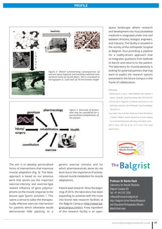 www.adjacentgovernment.co.uk 43
PROFILE
The aim is to develop personalised
forms of interventions that maximise
muscle adaptation (Fig. 3). The latter
approach is based on our previous
work that points out the important
exercise-intensity and exercise-type
related influence of gene polymor-
phisms on the muscle response to the
leisure type Sports activities 3
. This
opens a venue to tailor the therapeu-
tically effective exercise intervention
for patients which otherwise would
demonstrate little plasticity to a
generic exercise stimulus and for
which pharmaceuticals alone do not
work due to the importance of activity-
induced muscle metabolism for muscle
adaptations.
Patient-lead research: Since the begin-
ning of 2016, the laboratory has been
expanding its activities with the move
into brand new research facilities at
the Balgrist Campus (http://www.bal-
gristcampus.ch/en/). A key ingredient
of this research facility is an open-
space landscape where research
and development into musculoskeletal
medicine is integrated under one roof
between clinicians, biologist, engineers,
and industry. The facility is situated in
the vicinity of the orthopedic hospital
at Balgrist; thus providing a pipeline
for a reality-driven approach that
re-integrates questions from bedside
to bench and returns to the patient.
The laboratory for muscle plasticity is
looking for potential partners that may
want to exploit the research options
presented in the future Campus in the
frame of collaboration.
Bibliography
1 Muscle Injuries in Sports - Müller-Wohlfahrt HW, Ueblacker P,
HänselL,GarrettWE,GeorgThiemeVerlag,ISBN:9783131624710.
2 Flück M (2013). Diagnostics of endurance performance on the
level of gene expression. Sport-Orthopadie - Sport-Traumatologie,
29(3):203-213.
3 van Ginkel S, Amami M, Dela F, Niederseer D, Narici MV, Niebauer
J, Scheiber P, Müller E, Flück M. Adjustments of muscle capillarity
but not mitochondrial protein with skiing in the elderly. Scand J
Med Sci Sports. 2014 Sep 28. doi: 10.1111/sms.12324. [Epub
ahead of print]
Figure 2: Sketch summarising consequences of
overuse injury (rapture) and inactivity (reduced cross
sectional area) of muscle fibers. This is visualised in
micrographs vs. scale bars of 10 micrometer length
Figure 3: Overview of factors
that may be considered for a
personalised rehabilitation of
the patient
Professor Dr Martin Fluck
Laboratory for Muscle Plasticity
Balgrist Campus AG
Tel: +41 44 510 7350
mflueck@research.balgrist.ch
http://balgrist.ch/en/Home/Research-
and-Education/Orthopaedics/Muske-
lplastizitaet.aspx
 