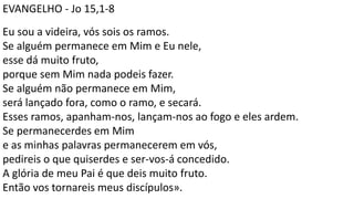 EVANGELHO - Jo 15,1-8
Eu sou a videira, vós sois os ramos.
Se alguém permanece em Mim e Eu nele,
esse dá muito fruto,
porque sem Mim nada podeis fazer.
Se alguém não permanece em Mim,
será lançado fora, como o ramo, e secará.
Esses ramos, apanham-nos, lançam-nos ao fogo e eles ardem.
Se permanecerdes em Mim
e as minhas palavras permanecerem em vós,
pedireis o que quiserdes e ser-vos-á concedido.
A glória de meu Pai é que deis muito fruto.
Então vos tornareis meus discípulos».
 