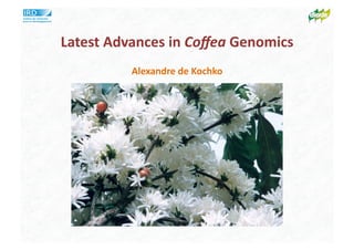 Latest	
  Advances	
  in	
  Coﬀea	
  Genomics	
  
Alexandre	
  de	
  Kochko	
  
 