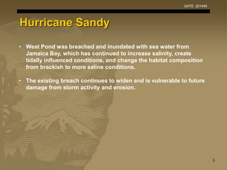 Hurricane Sandy
• West Pond was breached and inundated with sea water from
Jamaica Bay, which has continued to increase sa...