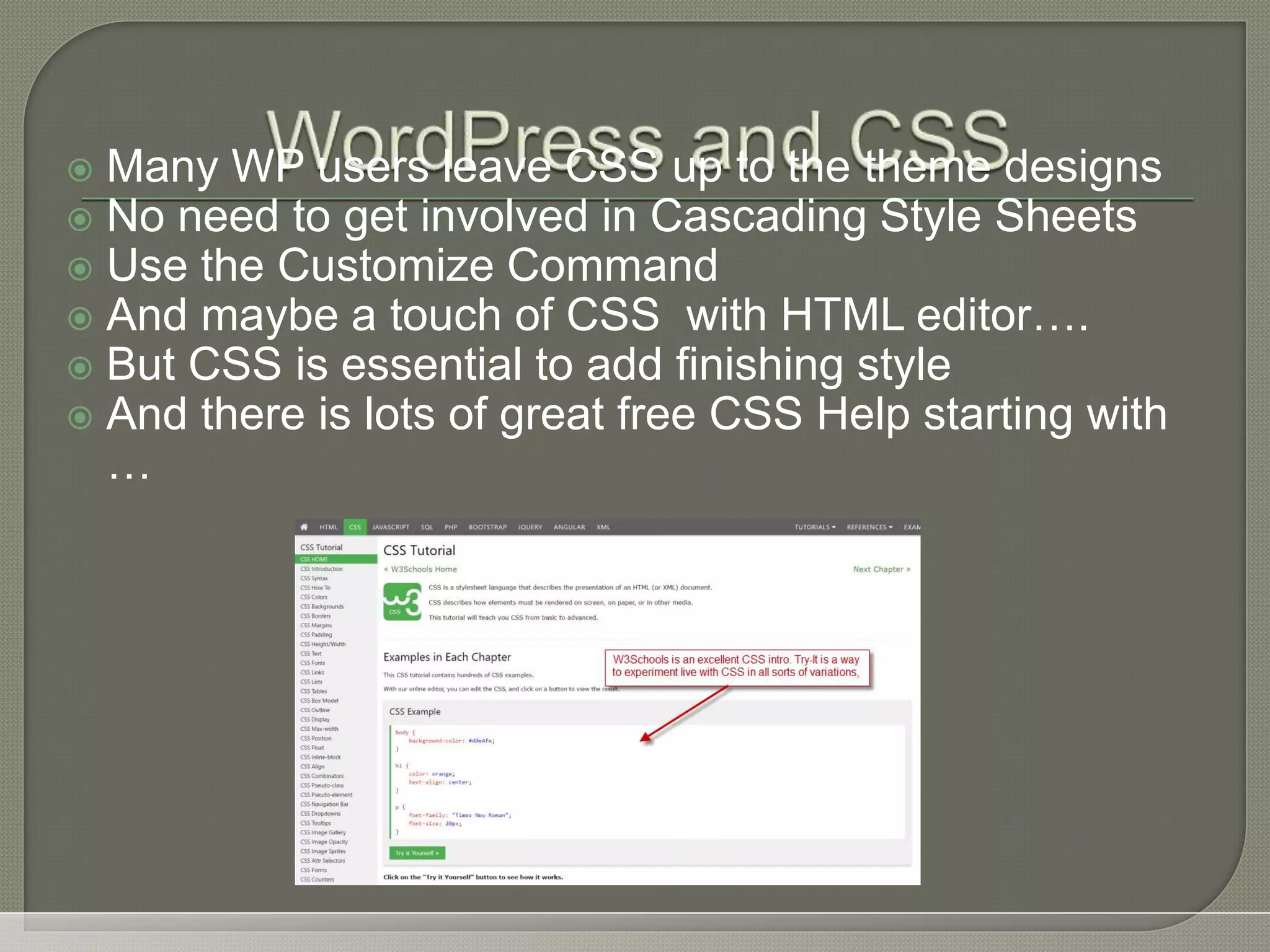 Many WP users leave CSS up to the theme designs  No need to get involved in Cascading Style Sheets  Use the Customize Command  And maybe a touch of CSS with HTML editor….  But CSS is essential to add finishing style  And there is lots of great free CSS Help starting with … 