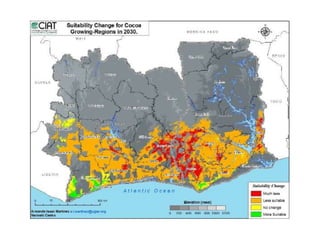 Agriculture Extension and Advisory Services under the New Normal of ...