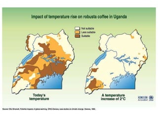 Agriculture Extension and Advisory Services under the New Normal of ...