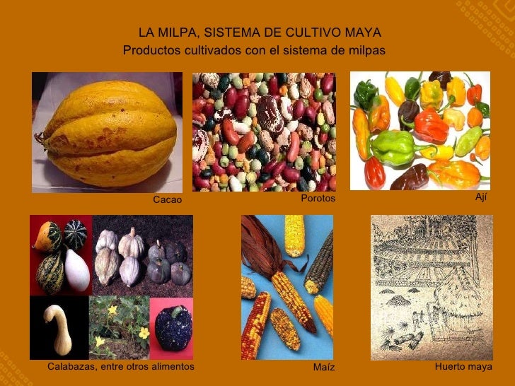 Imagen relacionada