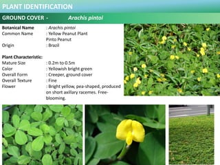 100 Plus Plants Identification in Malaysia