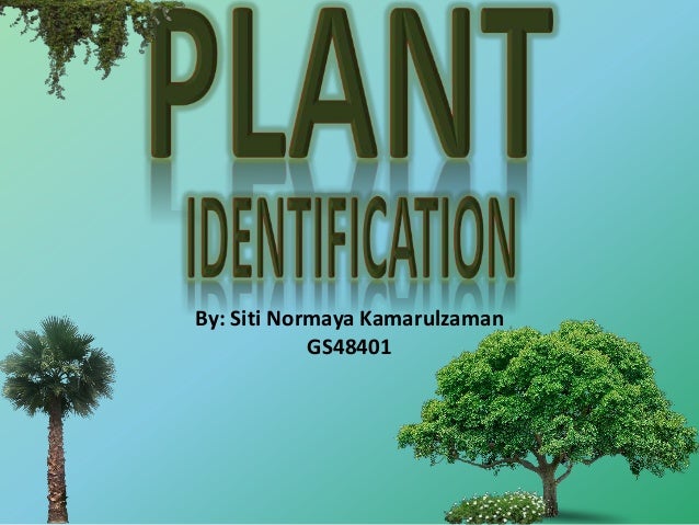 100 Plus Plants Identification In Malaysia
