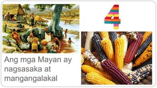 Ang mga Mayan ay 
nagsasaka at 
mangangalakal 
 