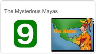 The Mysterious Mayas 
 