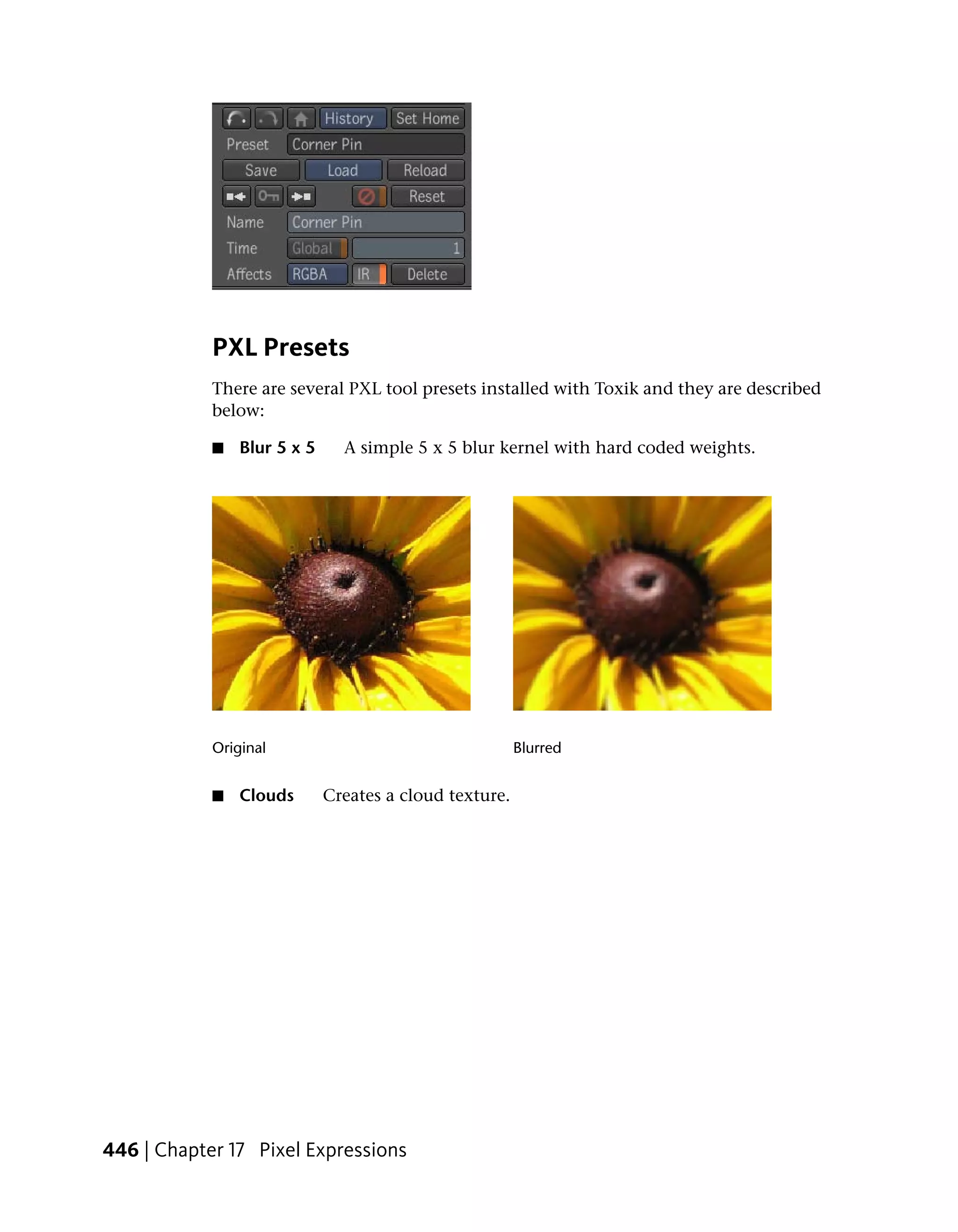 PXL Presets
            There are several PXL tool presets installed with Toxik and they are described
            below:

            ■   Blur 5 x 5     A simple 5 x 5 blur kernel with hard coded weights.




            Original                                    Blurred


            ■   Clouds       Creates a cloud texture.




446 | Chapter 17 Pixel Expressions
 