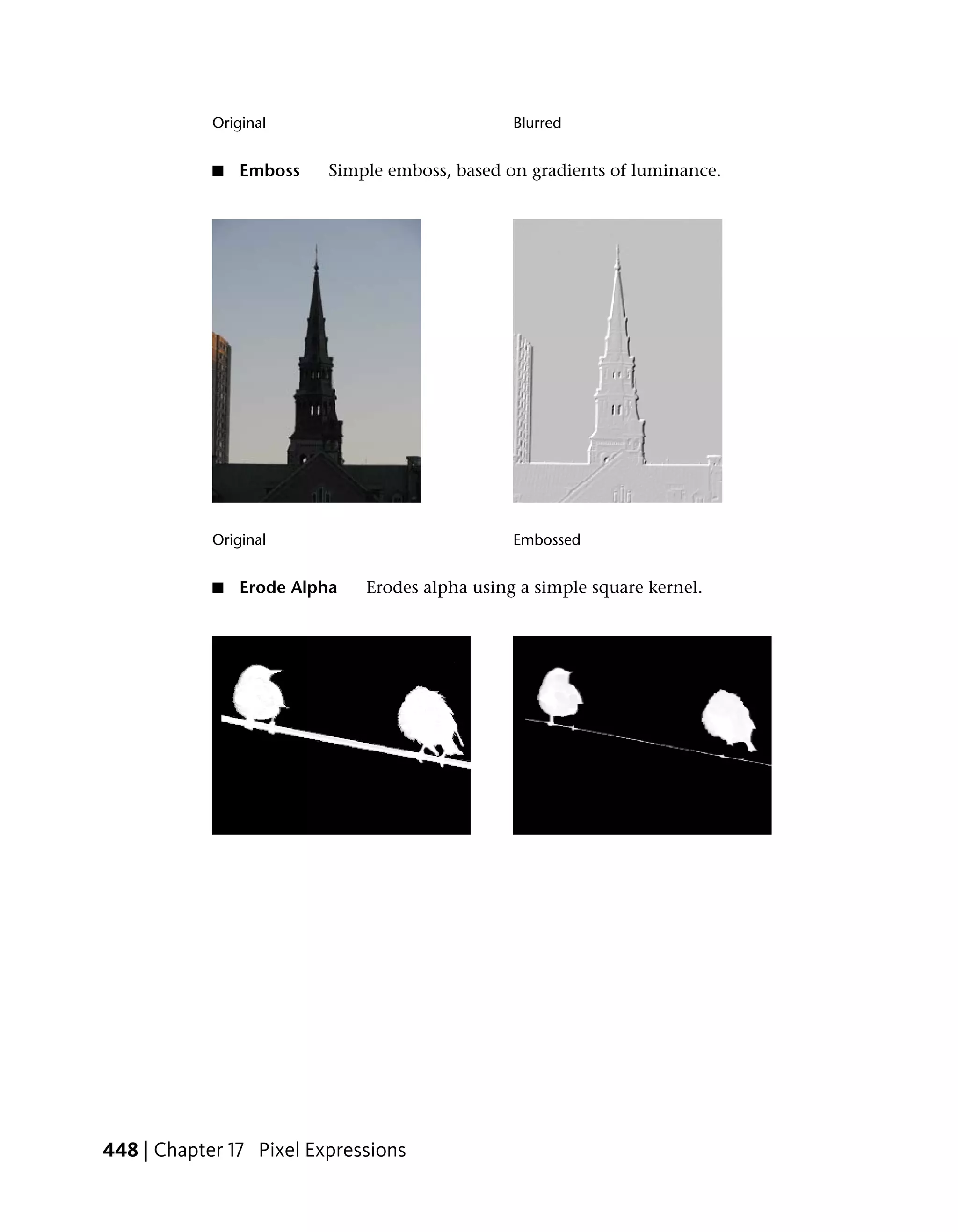 Original                            Blurred


            ■   Emboss    Simple emboss, based on gradients of luminance.




            Original                            Embossed


            ■   Erode Alpha   Erodes alpha using a simple square kernel.




448 | Chapter 17 Pixel Expressions
 