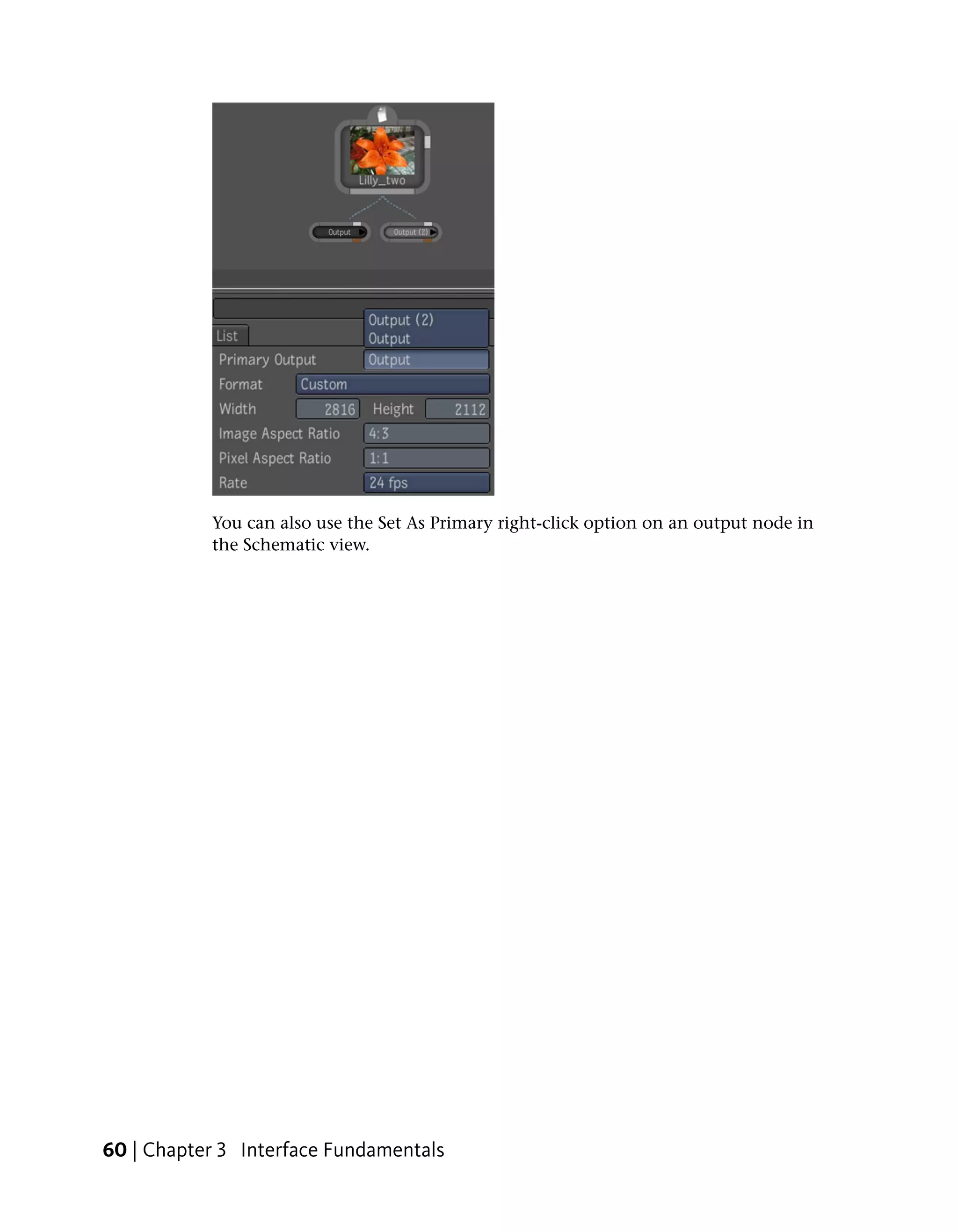You can also use the Set As Primary right-click option on an output node in
           the Schematic view.




60 | Chapter 3 Interface Fundamentals
 