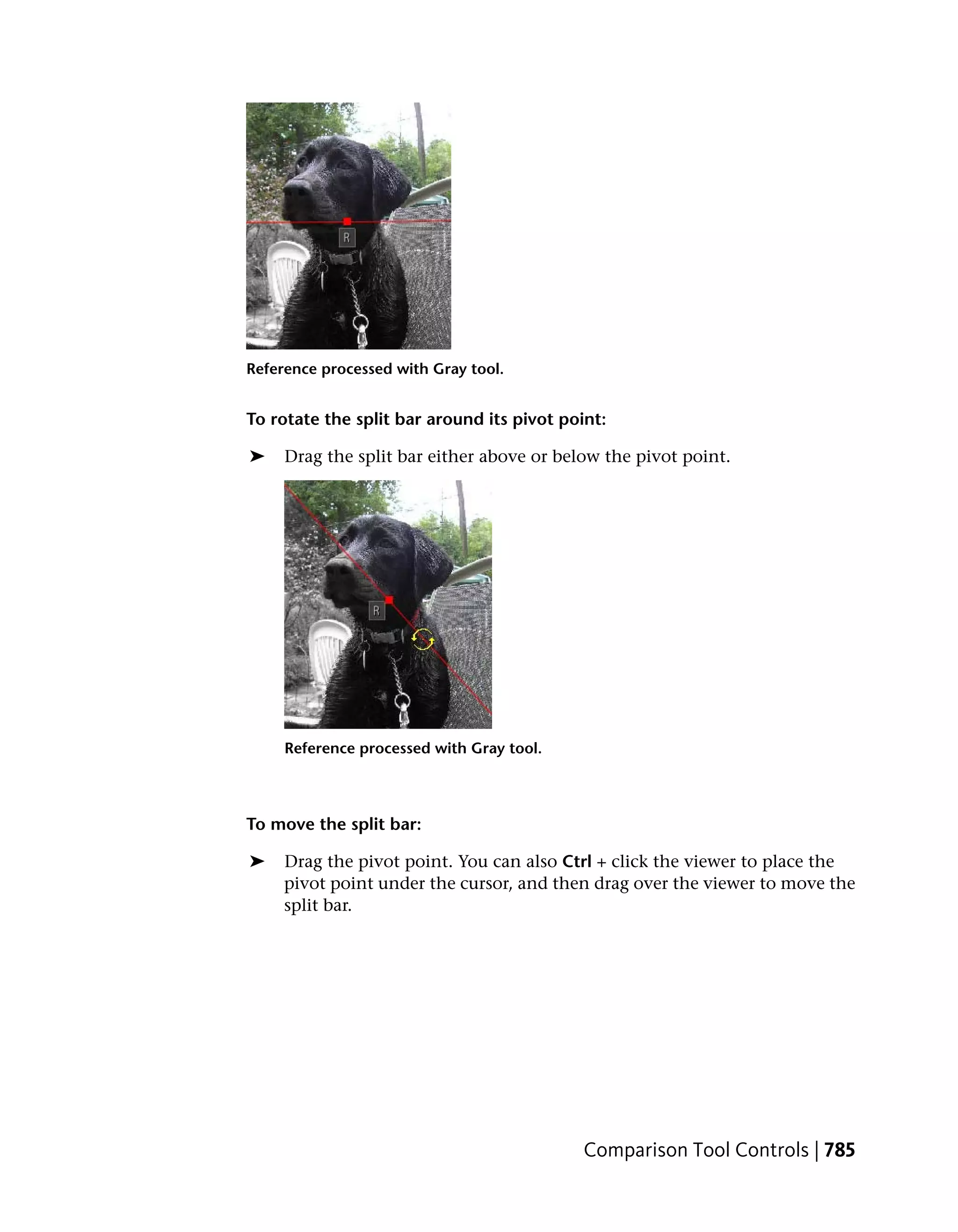 Reference processed with Gray tool.


To rotate the split bar around its pivot point:

➤    Drag the split bar either above or below the pivot point.




     Reference processed with Gray tool.




To move the split bar:

➤    Drag the pivot point. You can also Ctrl + click the viewer to place the
     pivot point under the cursor, and then drag over the viewer to move the
     split bar.




                                            Comparison Tool Controls | 785
 