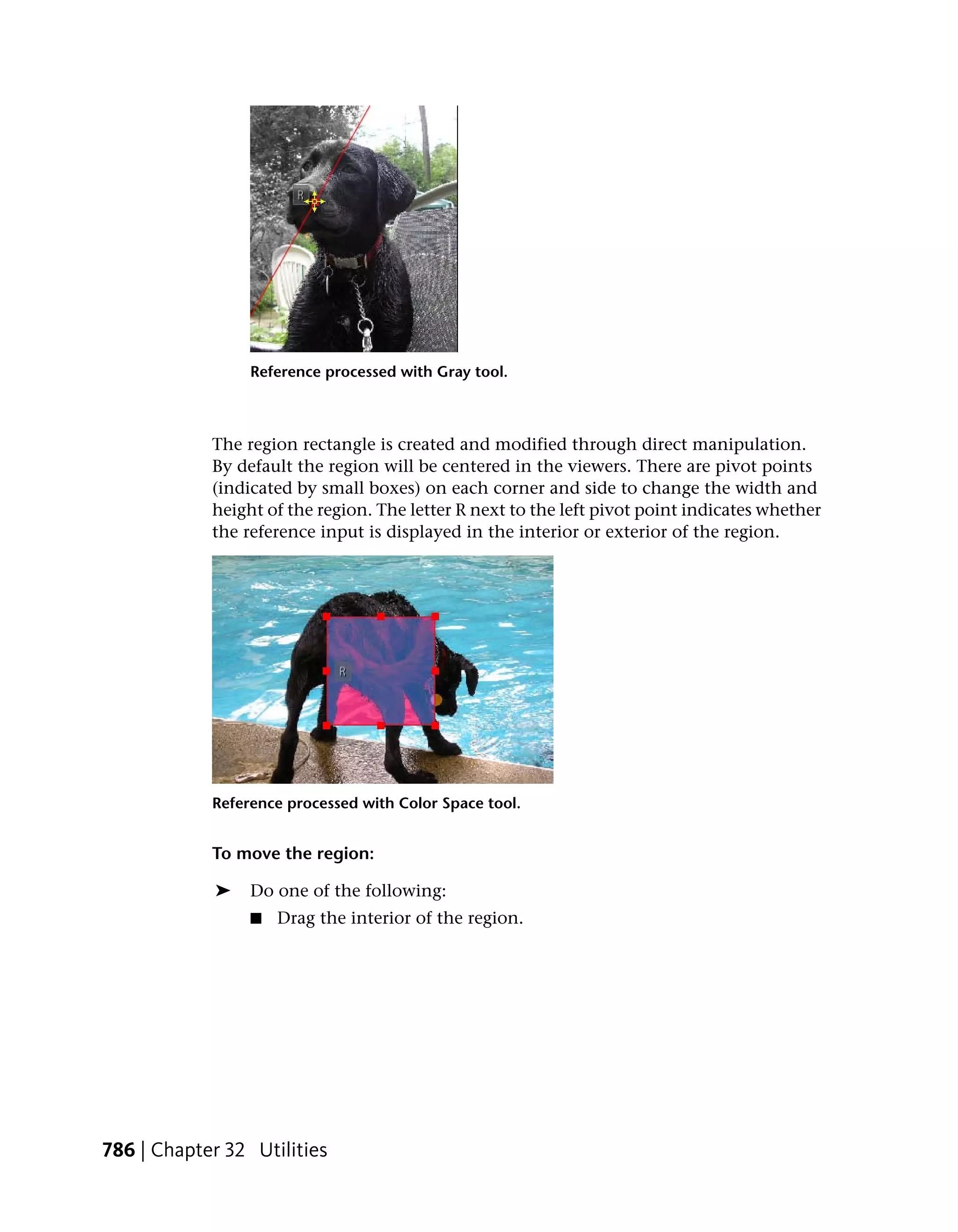 Reference processed with Gray tool.



            The region rectangle is created and modified through direct manipulation.
            By default the region will be centered in the viewers. There are pivot points
            (indicated by small boxes) on each corner and side to change the width and
            height of the region. The letter R next to the left pivot point indicates whether
            the reference input is displayed in the interior or exterior of the region.




            Reference processed with Color Space tool.


            To move the region:

             ➤   Do one of the following:
                 ■   Drag the interior of the region.




786 | Chapter 32 Utilities
 