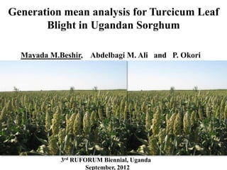 Generation mean analysis for Turcicum Leaf
       Blight in Ugandan Sorghum

  Mayada M.Beshir, Abdelbagi M. Ali and P. Okori




            3rd RUFORUM Biennial, Uganda
                    September, 2012
 