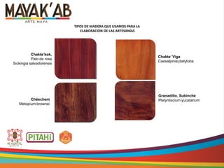 Chakte’kok,
Palo de rosa
Sickingia salvadorensis
Chéechem
Metopium brownei
Chakte’ Viga
Caesalpinia platyloba
Granadillo, Subinché
Platymiscium yucatanum
TIPOS DE MADERA QUE USAMOS PARA LA
ELABORACIÓN DE LAS ARTESANÍAS
 