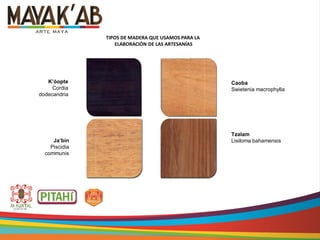 K’óopte
Cordia
dodecandria
Ja’bín
Piscidia
communis
Caoba
Swietenia macrophylla
Tzalam
Lisiloma bahamensis
TIPOS DE MADERA QUE USAMOS PARA LA
ELABORACIÓN DE LAS ARTESANÍAS
 