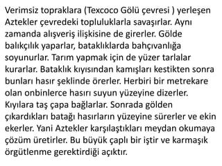 Verimsiz topraklara (Texcoco Gölü çevresi ) yerleşen
Aztekler çevredeki topluluklarla savaşırlar. Aynı
zamanda alışveriş ilişkisine de girerler. Gölde
balıkçılık yaparlar, bataklıklarda bahçıvanlığa
soyunurlar. Tarım yapmak için de yüzer tarlalar
kurarlar. Bataklık kıyısından kamışları kestikten sonra
bunları hasır şeklinde örerler. Herbiri bir metrekare
olan onbinlerce hasırı suyun yüzeyine dizerler.
Kıyılara taş çapa bağlarlar. Sonrada gölden
çıkardıkları batağı hasırların yüzeyine sürerler ve ekin
ekerler. Yani Aztekler karşılaştıkları meydan okumaya
çözüm üretirler. Bu büyük çaplı bir iştir ve karmaşık
örgütlenme gerektirdiği açıktır.
 