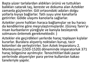 Başta yüzer tarlalardan aldıkları ürünü ve tuttukları
balıkları satarak taş, kereste ve dokuma alan Aztekler
zamanla güçlenirler. Göl ortasındaki adaları dolgu
yollarla kıyıya bağlarlar. Tatlı suyu yine kanallarla
getirirler. Gölde ulaşımı kanolarla sağlarlar.
Aztekler çevre halkları haraca bağlamışlar ve bu haracı
da kendilerine göre meşrulaştırmışlardır. (Güneş Tanrı’yı
insan kurbanların yüreğiyle ve kanıyla besleyerek
solmasını önlemek gerekmektedir. )
Aztekler ele geçirdikleri yerlerde haraç toplayan kışlalar
kurarlar. Buralara alışveriş noktaları kurup, tacir
kolonileri de yerleştirirler. Son Aztek İmparatoru 2.
Montezuma (1503-1520) döneminde imparatorluk 371
haraç bölgesine ayrılmıştır. Tenochtitlan’daki pazar
yerlerinde alışverişler para yerine kullanılan kakao
taneleriyle yapılır.
 