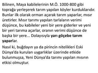 Bilinen, Maya kabilelerinin M.Ö. 1000-800 gibi
toprağa yerleşerek tarım yapılan köyler kurduklarıdır.
Bunlar ilk olarak orman açarak tarım yaparlar, mısır
üretirler. Mısır tarımı yapılan tarlaların verimi
düşünce, bu kabileler yeni bir yere giderler ve yeni
bir yeri tarıma açarlar, oranın verimi düşünce de
başka bir yere... Dolayısıyla yarı göçebe tarım
yaparlar.
Nasıl ki, buğdayın ya da pirincin nitelikleri Eski
Dünya’da kurulan uygarlıklar üzerinde etkide
bulunmuşsa, Yeni Dünya’da tarımı yapılan mısırın
etkisi olmuştur.
 