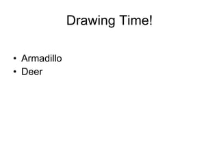 Drawing Time! Armadillo Deer 