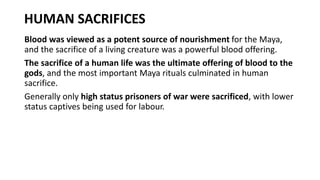 YEAR 9 HISTORY - THE MAYAN EMPIRE | PPTX