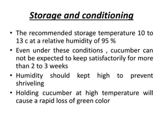 Storage and conditioning
• The recommended storage temperature 10 to
13 c at a relative humidity of 95 %
• Even under these conditions , cucumber can
not be expected to keep satisfactorily for more
than 2 to 3 weeks
• Humidity should kept high to prevent
shriveling
• Holding cucumber at high temperature will
cause a rapid loss of green color
 
