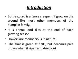 Introduction
• Bottle gourd is a fence creeper , it grow on the
ground like most other members of the
pumpkin family.
• It is annual and dies at the end of each
growing season
• Flowers are monoecious in nature
• The fruit is green at first , but becomes pale
brown when it ripen and dried out
 