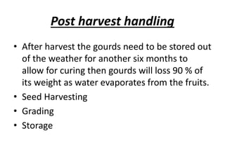 Post harvest handling
• After harvest the gourds need to be stored out
of the weather for another six months to
allow for curing then gourds will loss 90 % of
its weight as water evaporates from the fruits.
• Seed Harvesting
• Grading
• Storage
 