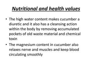 Nutritional and health values
• The high water content makes cucumber a
diuretic and it also has a cleansing action
within the body by removing accumulated
pockets of old waste material and chemical
toxin
• The magnesium content in cucumber also
relaxes nerve and muscles and keep blood
circulating smoothly
 