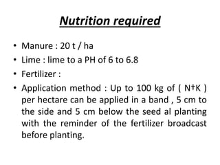 Nutrition required
• Manure : 20 t / ha
• Lime : lime to a PH of 6 to 6.8
• Fertilizer :
• Application method : Up to 100 kg of ( N†K )
per hectare can be applied in a band , 5 cm to
the side and 5 cm below the seed al planting
with the reminder of the fertilizer broadcast
before planting.
 