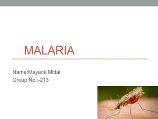 MALARIA
. Name:Mayank Mittal
Group No.:-213
 