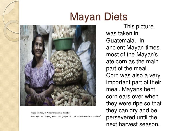 Mayans Mayans