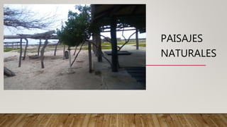 PAISAJES
NATURALES
 