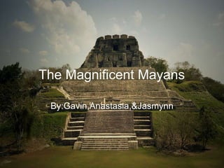 The Magnificent Mayans By:Gavin,Anastasia,&Jasmynn 