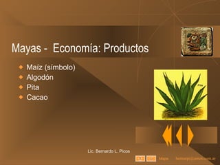 Mayas -  Economía: Productos Maíz (símbolo) Algodón Pita Cacao Lic. Bernardo L. Picos Mapa 